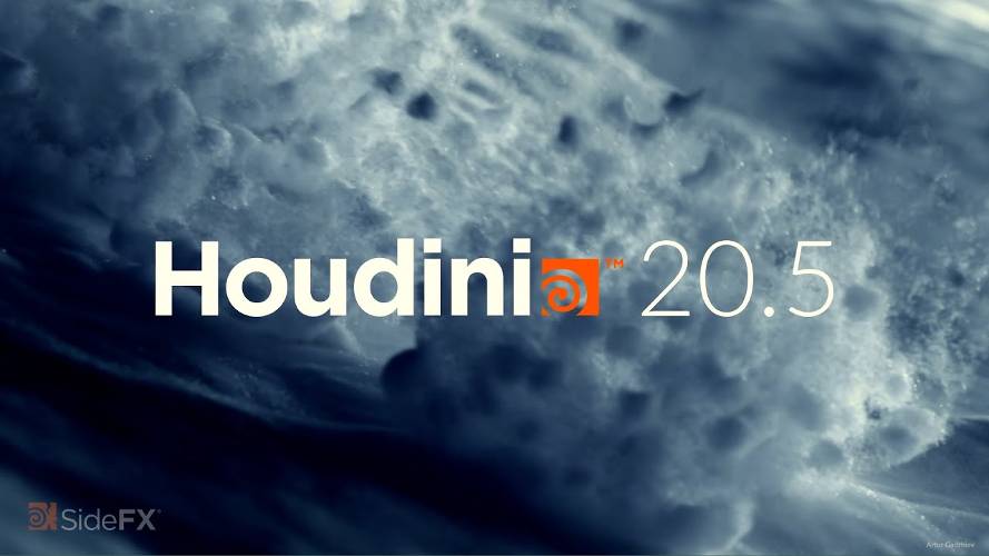 Houdini 20.5