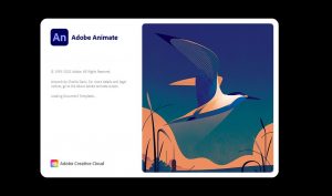 Adobe Animate 2024 v24.0.0.305 for windows instal