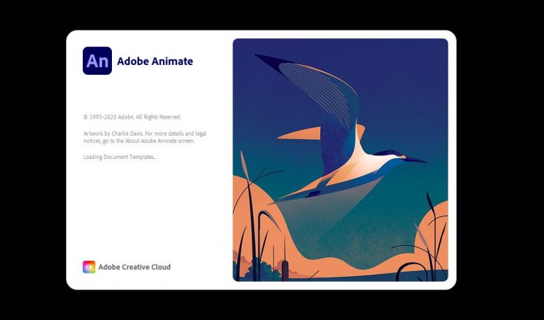 Adobe Animate 2024 v24.0.0.305 download the new version