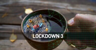 Lockdown 3