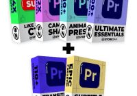 The Ultimate Bundle PLUS for Premiere Pro by Finzar