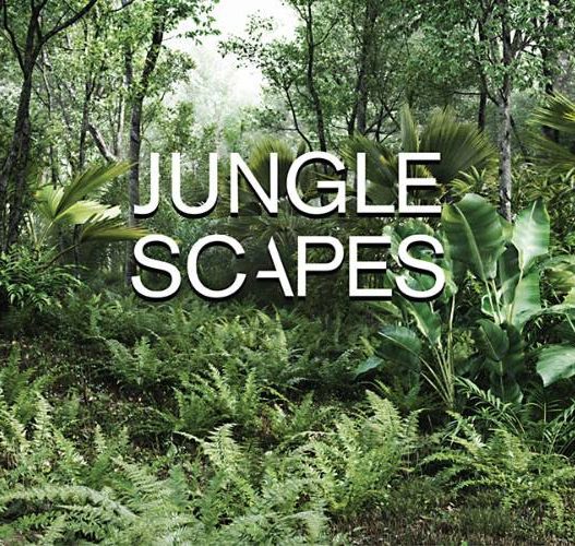 Jungle Scapes