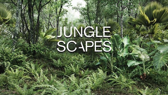 Jungle Scapes