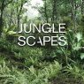 Jungle Scapes